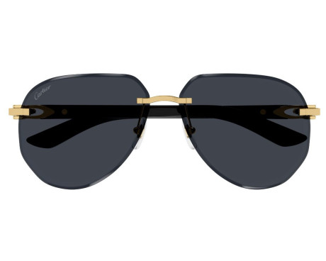 146610-Lunettes Cartier - Lunettes Cartier Corne - Lunettes Cartier Bois