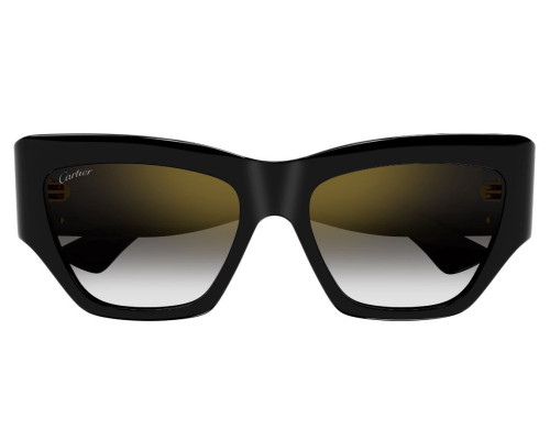 lunettes de soleil Cartier - lunettes Cartier - lunettes Cartier bleu