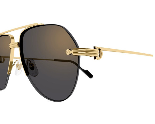 lunettes Cartier - lunettes Cartier aviateur - lunettes Cartier bleu