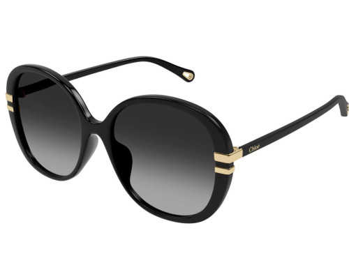 Sunglasses Chloe CH0207SK