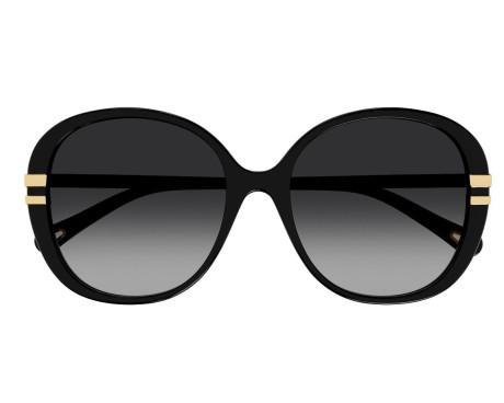 148791-Sunglasses Chloe CH0207SK