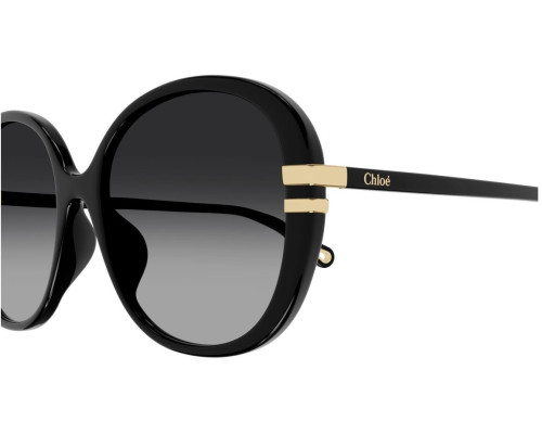 Sunglasses Chloe CH0207SK