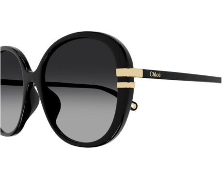 148792-Sunglasses Chloe CH0207SK