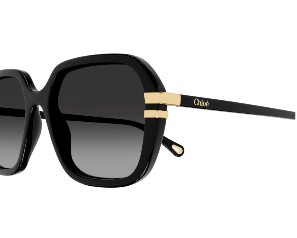 Lunettes de Soleil Chloe CH0204S