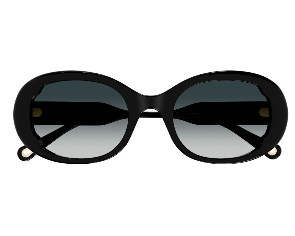 Lunettes de Soleil Chloe CH0197SA
