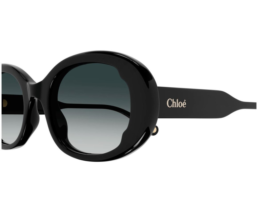 Lunettes de Soleil Chloe CH0197SA