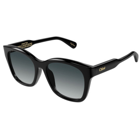 Sunglasses Chloe CH0194SK