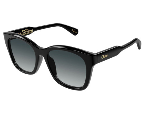 148998-Sunglasses Chloe CH0194SK