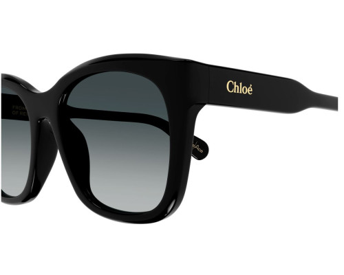 Sunglasses Chloe CH0194SK