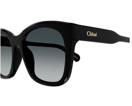 149000-Sunglasses Chloe CH0194SK