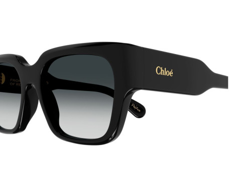 149012-Zonnebril Chloe CH0190S