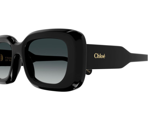 Lunettes de Soleil Chloe CH0188S