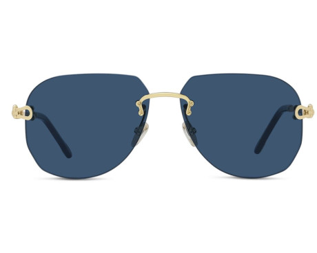 150561-Sunglasses Fred FG4011UN