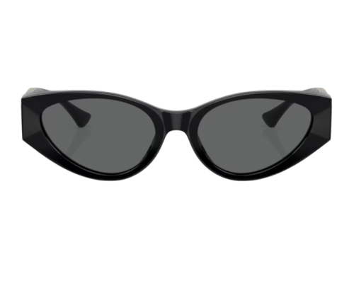 Lunettes de Soleil Versace VE4454