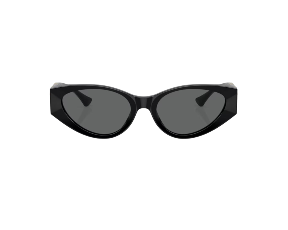 Lunettes de Soleil Versace VE4454