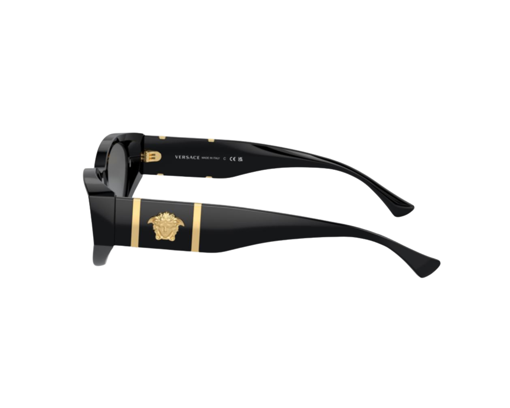 Lunettes de Soleil Versace VE4454