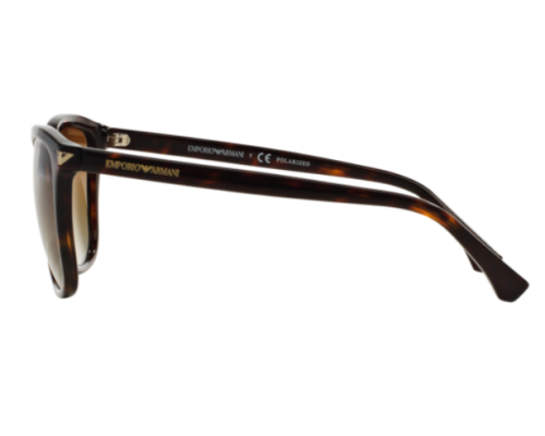 Zonnebril Emporio Armani EA4060