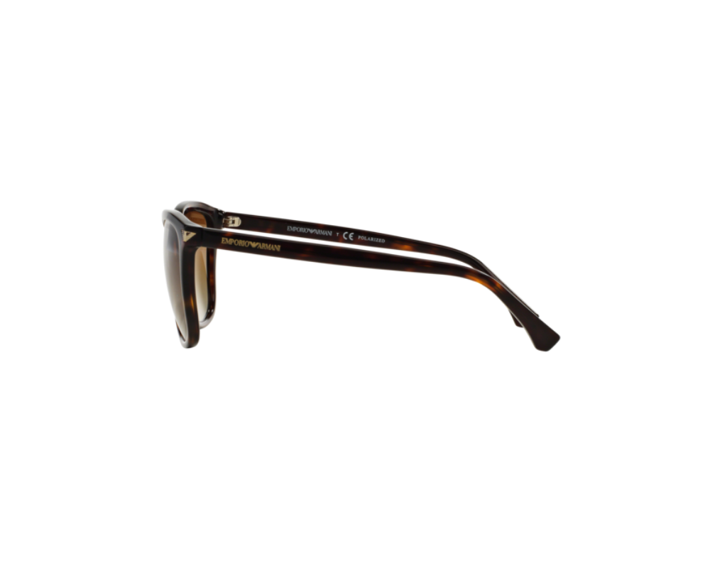 Zonnebril Emporio Armani EA4060