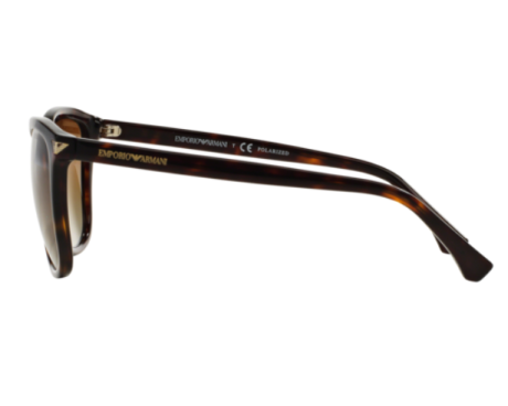 153981-Zonnebril Emporio Armani EA4060