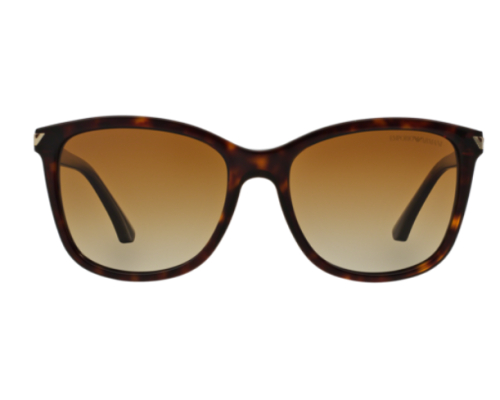 Zonnebril Emporio Armani EA4060
