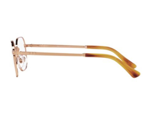 154285-Lunettes de vue Persol PO1010V | CELINE ROLAND OPTICIEN LUNETIER
