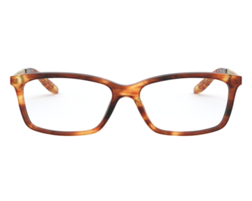 Lunettes de vue Ralph-Lauren RL6198