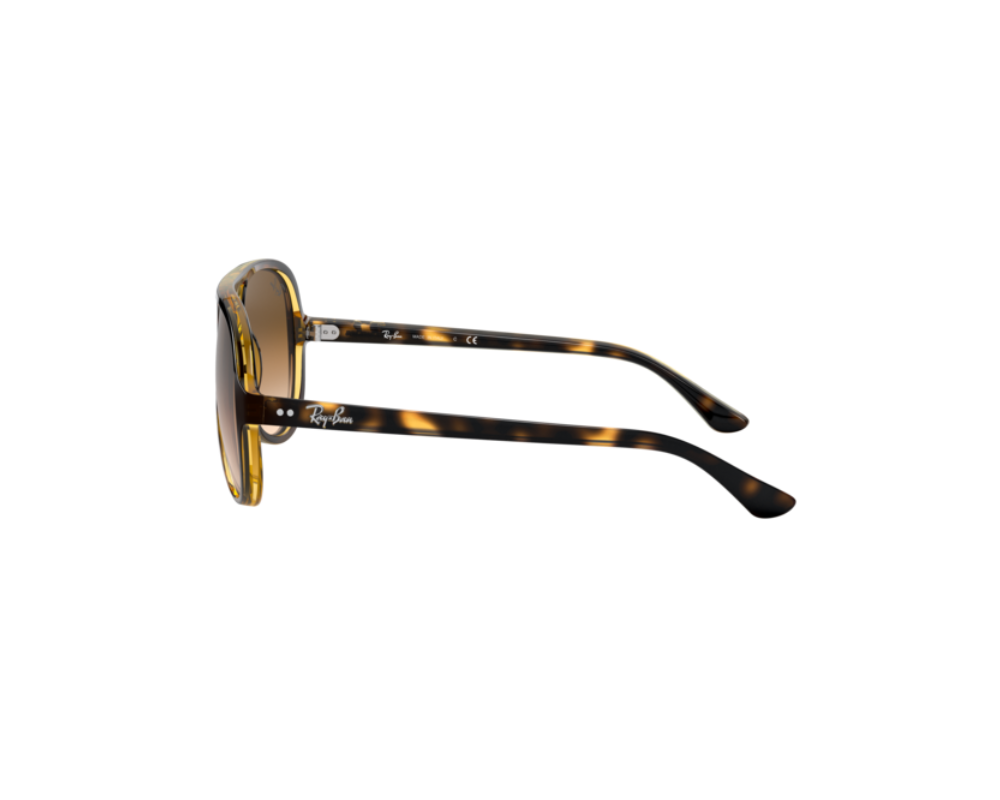 Ray-Ban Zonnebril Cats 5000 RB4125