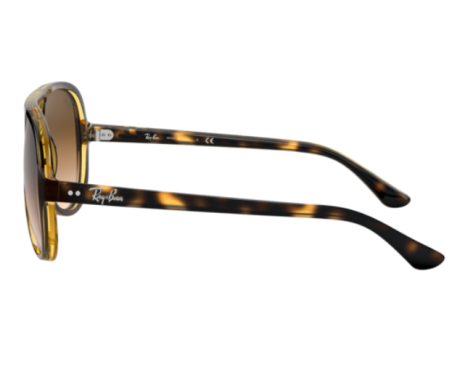159561-Ray-Ban Zonnebril Cats 5000 RB4125