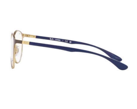 160117-Lunettes de vue Ray-Ban RX6355
