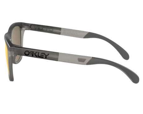 163608-Lunettes de Soleil Oakley Frogskins Range 0OO9284
