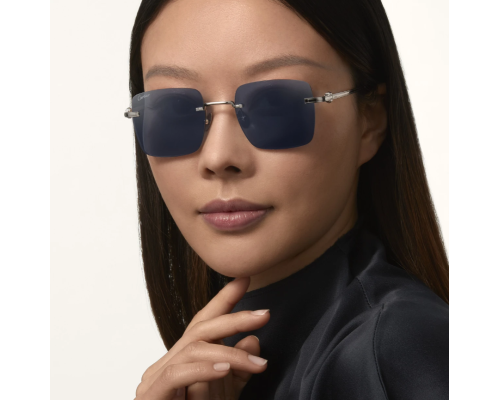 Cartier Uitzondering CT0403S Zonnebril