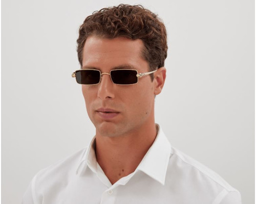lunettes Cartier - lunettes Cartier homme - lunettes Cartier panthère