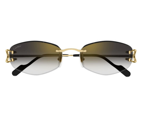 164212-Lunettes de Soleil Cartier Piccadilly CT0467S