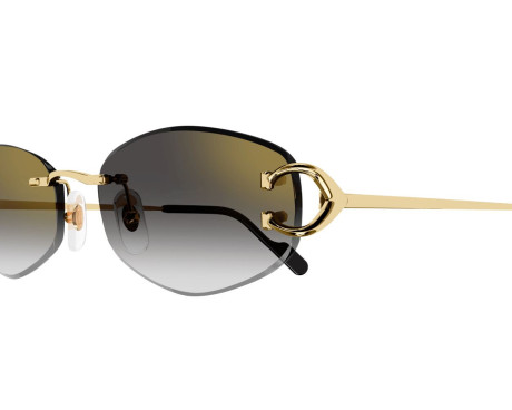 164213-Lunettes de Soleil Cartier Piccadilly CT0467S