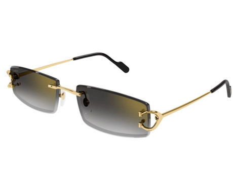 164231-Lunettes de Soleil Cartier Piccadilly CT0465S