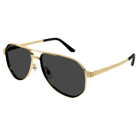 Cartier sunglasses Santos CT0461S