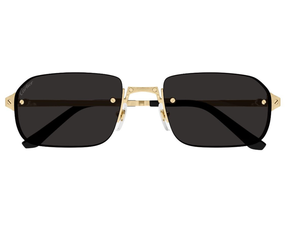 lunettes Cartier - lunettes Cartier homme - lunettes Cartier de soleil