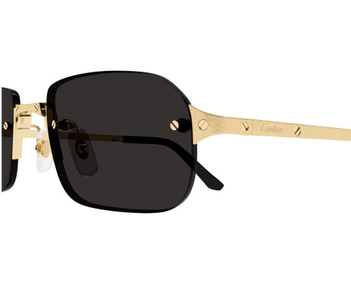 lunettes Cartier - lunettes Cartier homme - lunettes Cartier de soleil
