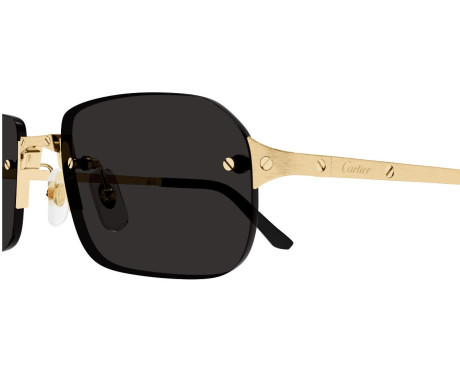 164350-lunettes Cartier - lunettes Cartier homme - lunettes Cartier de soleil
