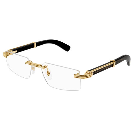 Cartier Uitzondering CT0485O Bril