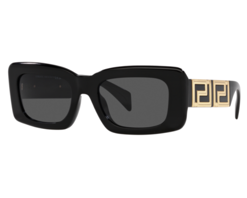 Lunettes de Soleil Versace Endless Greca VE4444U