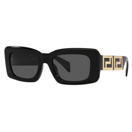 Lunettes de Soleil Versace Endless Greca VE4444U