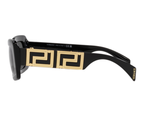 Sunglasses Versace Endless Greca VE4444U