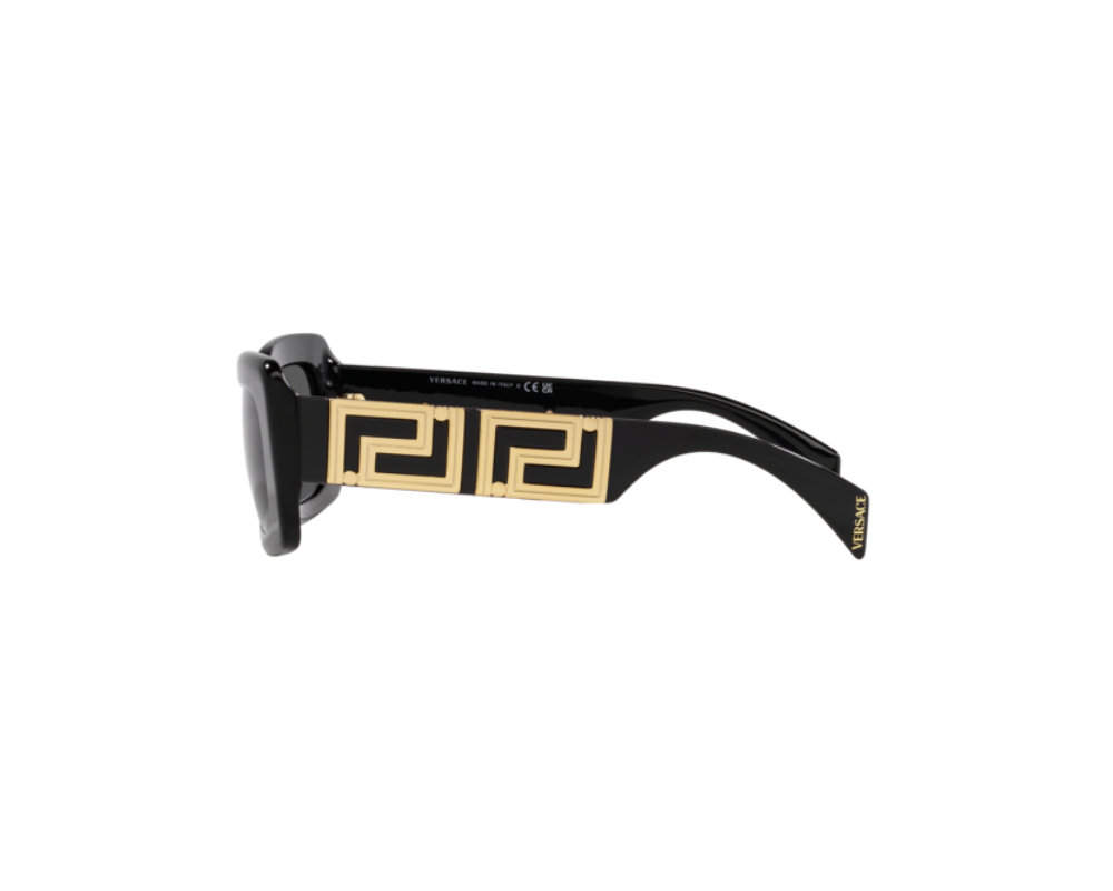 Sunglasses Versace Endless Greca VE4444U