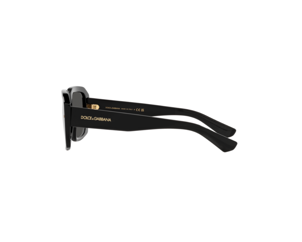Lunettes de Soleil Dolce & Gabbana DG4430 | CELINE ROLAND OPTICIEN LUNETIER