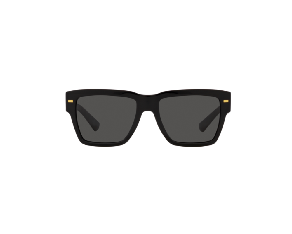 Lunettes de Soleil Dolce & Gabbana DG4431 | CELINE ROLAND OPTICIEN LUNETIER
