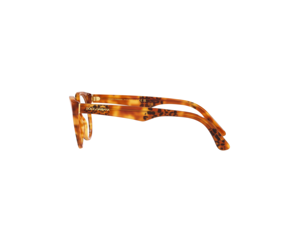 Lunettes de vue Dolce & Gabbana DG3361