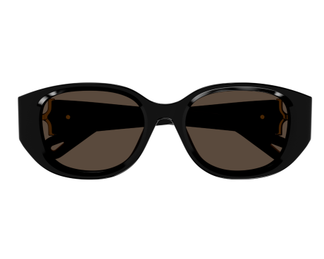165647-Sunglasses Chloé CH0237SK
