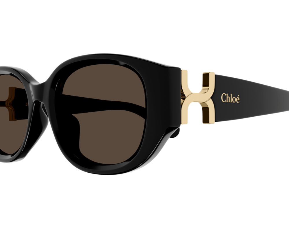 Sunglasses Chloé CH0237SK