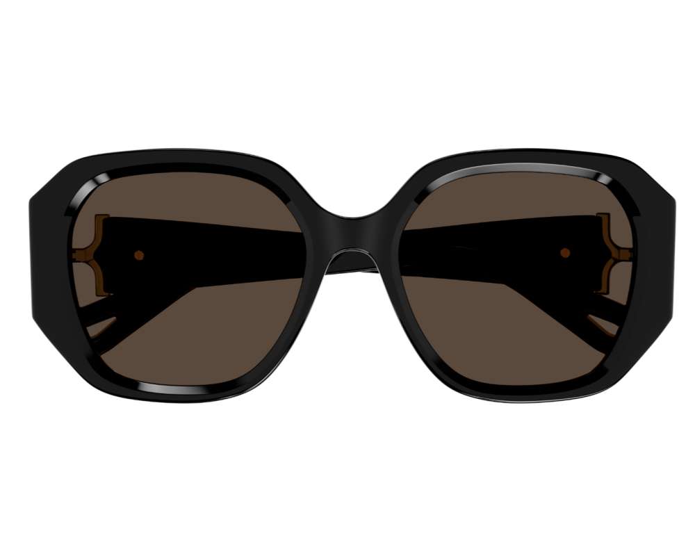 Sunglasses Chloé CH0236S